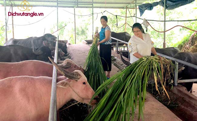 Cúng cúng ông Chuồng bà Chuồng là nét đẹp văn hóa