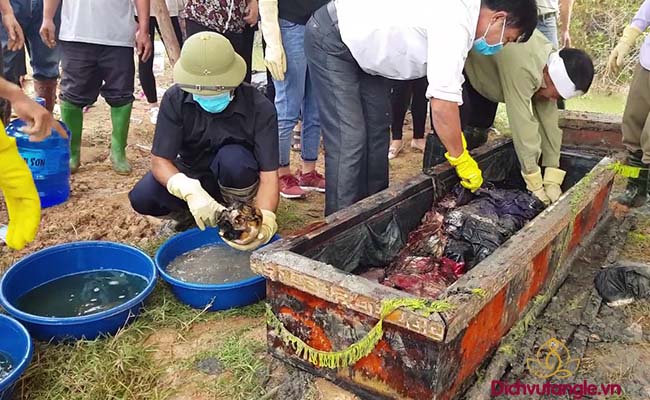Cải táng là gì? Làm thế nào để cải táng mộ 2021? 4 Quy trình cải táng - Cải táng là gì